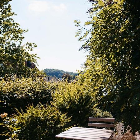 Ferienwohnung Kurpark Brilon Am Rothaarsteig Exterior photo